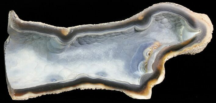 Unique, Agatized Fossil Coral Geode - Florida #72282
